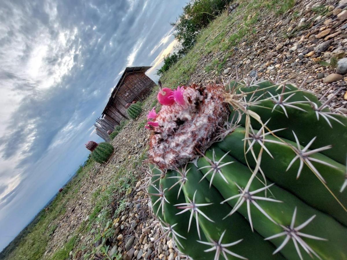Hotel Flor De Liz Bereshit Bara Villavieja Kültér fotó