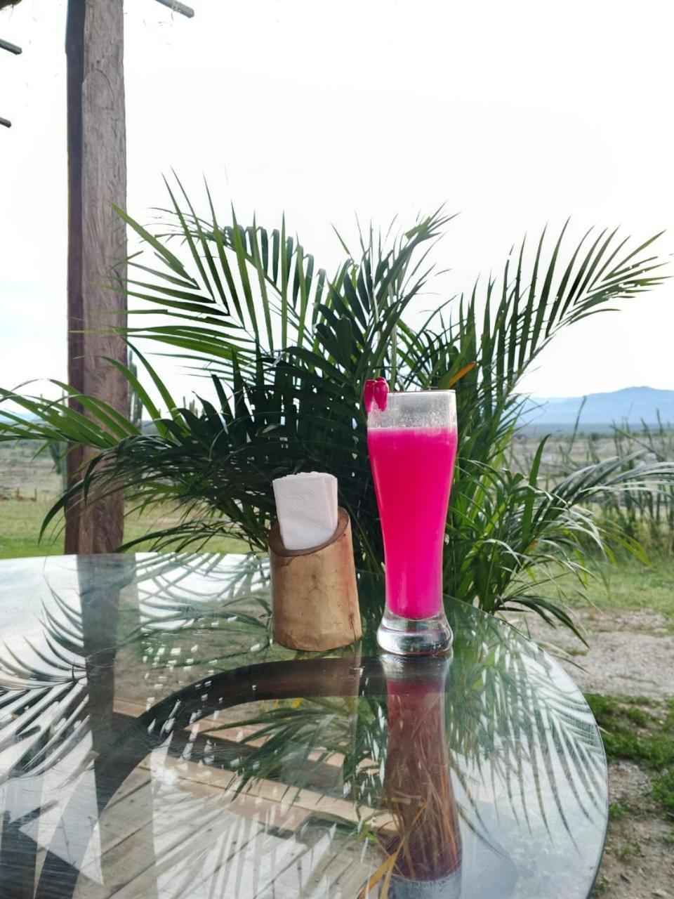 Hotel Flor De Liz Bereshit Bara Villavieja Kültér fotó